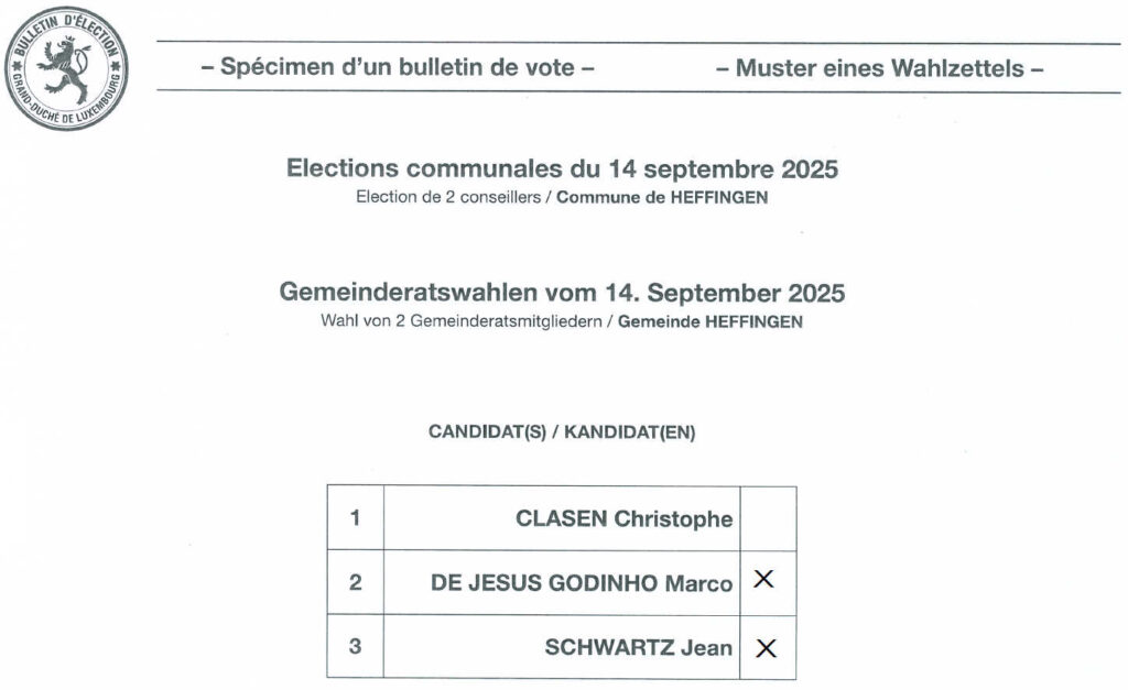 Wahlhilfe für die Komplementarwahlen 2025